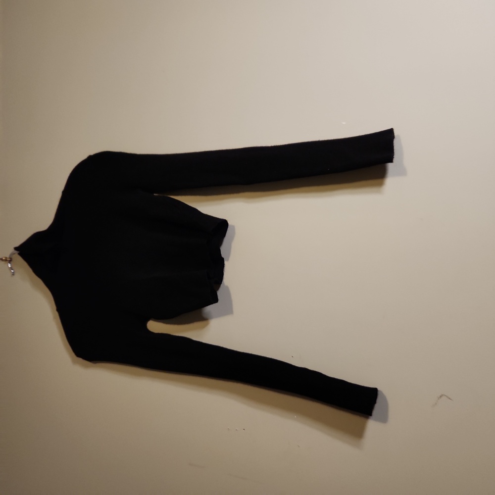 Black croptop turtleneck with long sleeves. Size small. Forever 21. Great condit